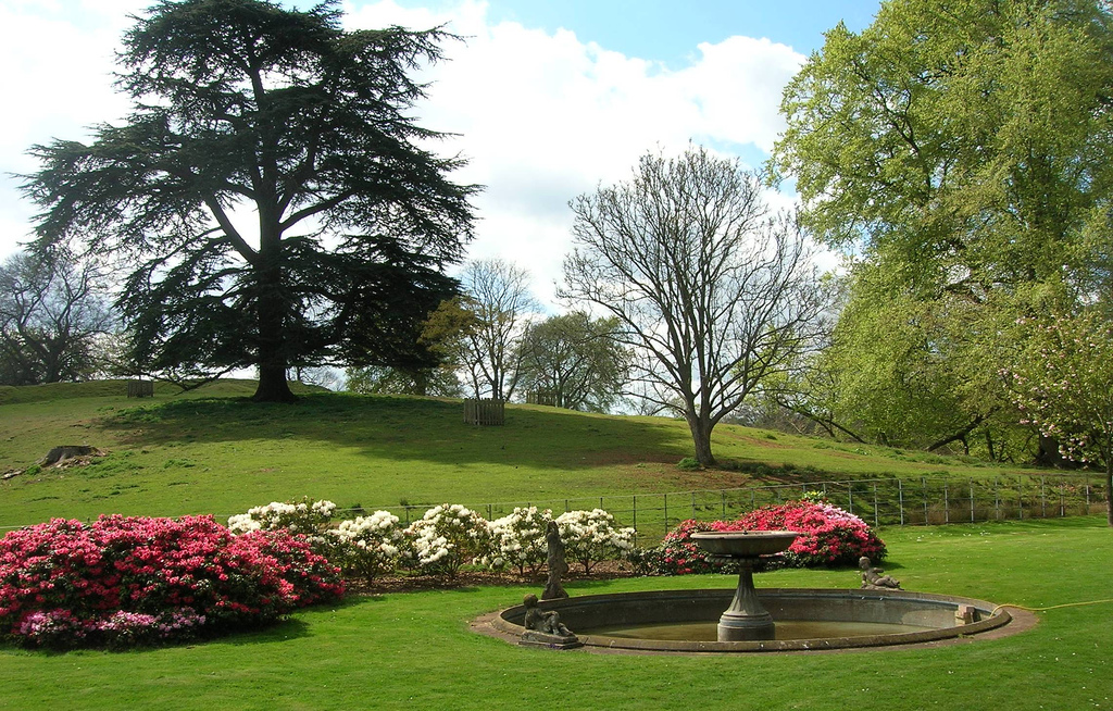 Lydney Park Gardens Pat Baker