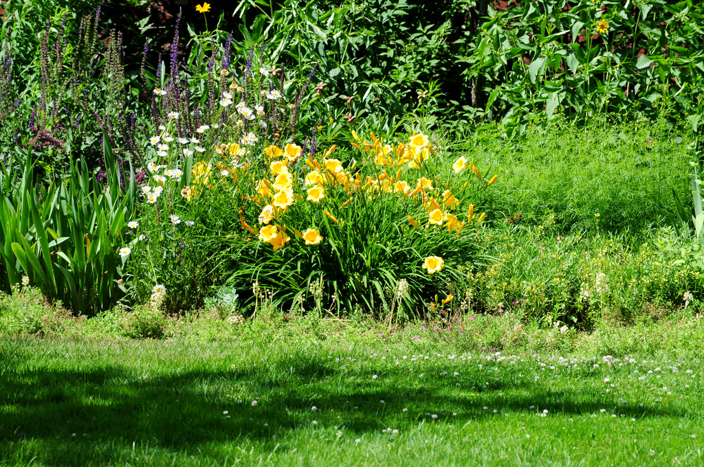 Lyman Estate - The Vale Garden Ed Yourdon