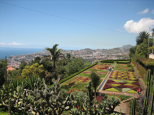 Botanic Garden, Madeira