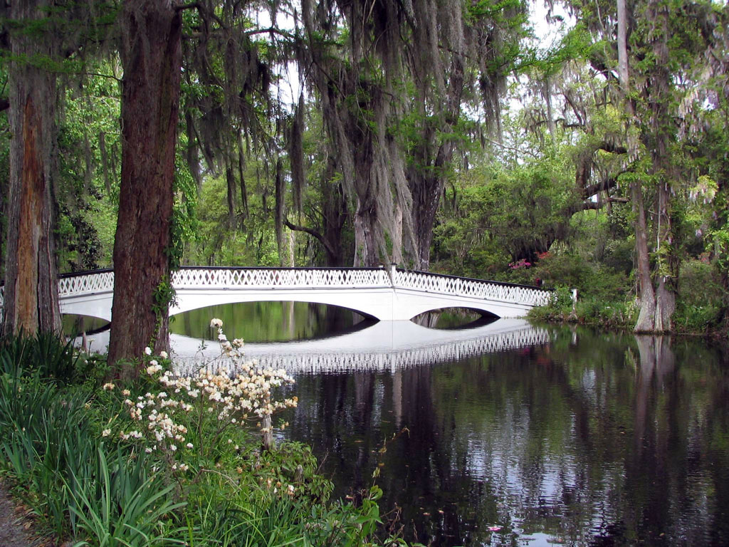 Bridge, Magnolia Plantation Garden