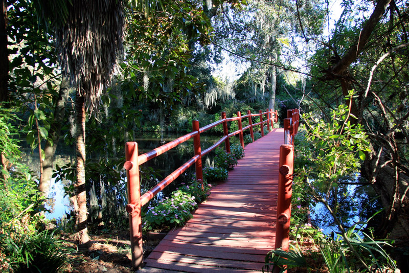 Bridge in Magnolia Plantation Gardens, South Carolina