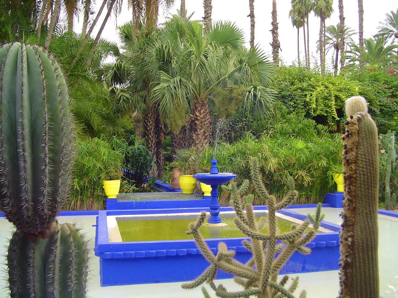Majorelle Garden Didier Cornice