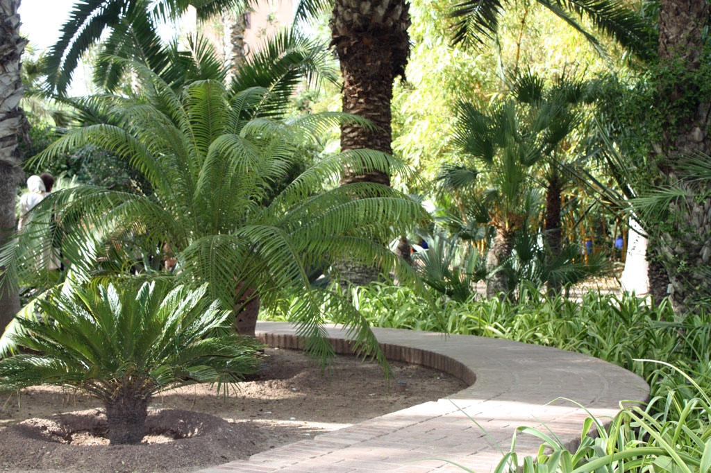 Majorelle Garden, Marrakech