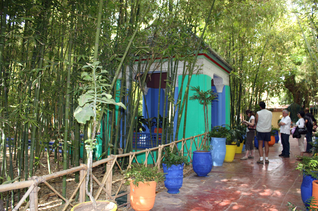 Bamboo, Jardin Majorelle