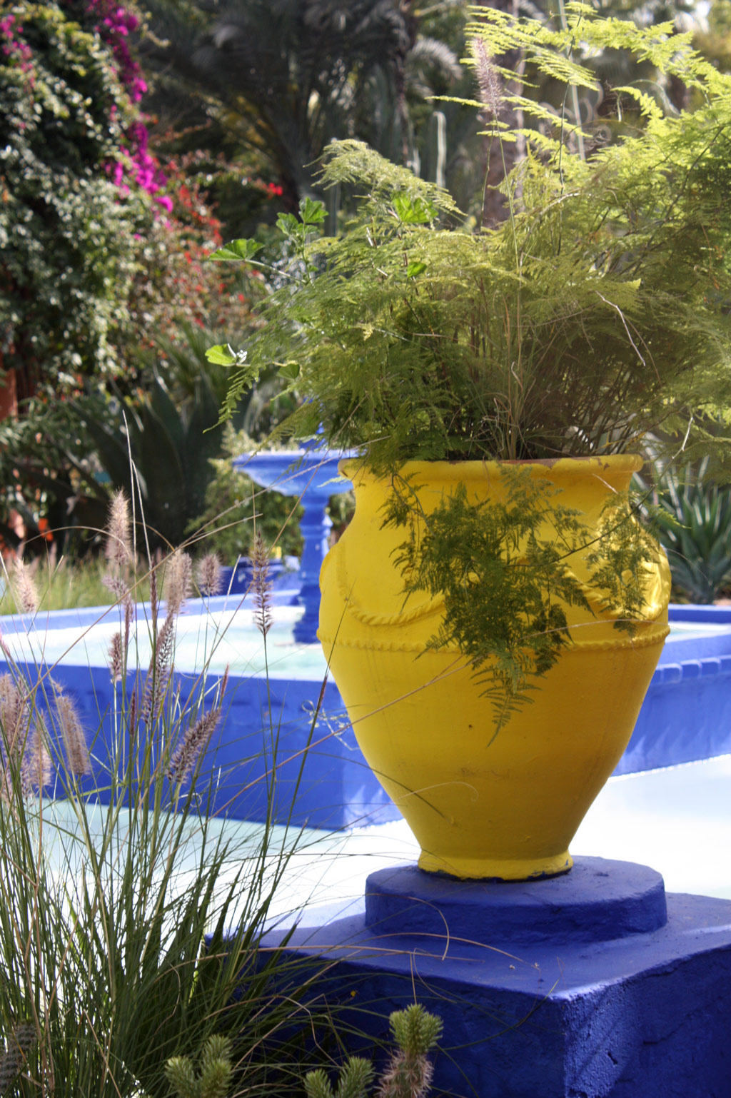 Majorelle Garden, Marrakesh