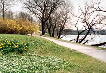 Malaren park2