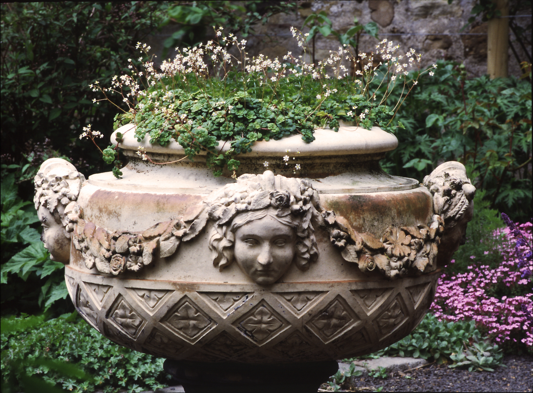 Malleny Garden Gardenvisit.com