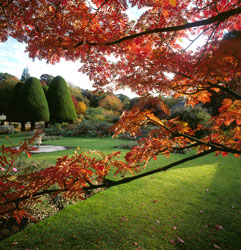 Malleny garden nts