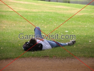 Man Grass