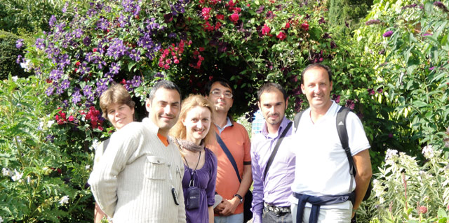 Splendid Summer Gardens