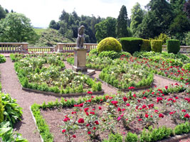 Manderston garden