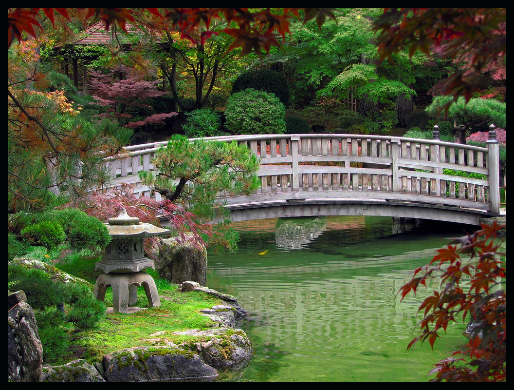 Manito Park and Gardens Carplips