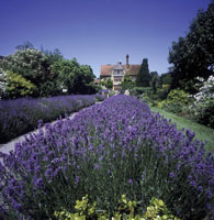 Le Manoir Aux Quat'Saisons, Oxfordshire