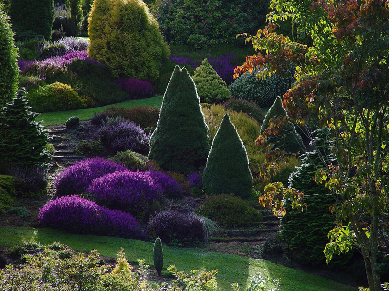 Maple Glen Gardens, Autumn