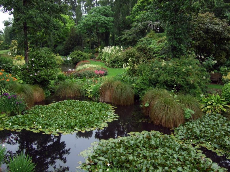 Maple Glen Gardens, Summer