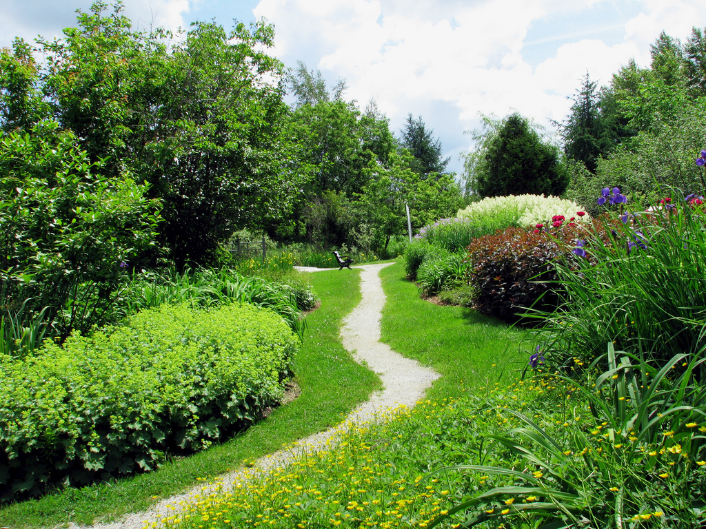 Marie Victorin Park Yves Courtemanche