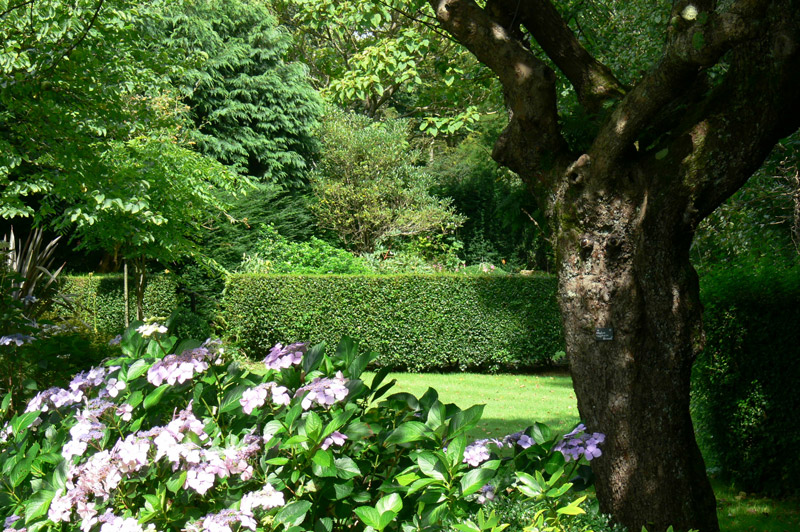 Marsh Villa Gardens