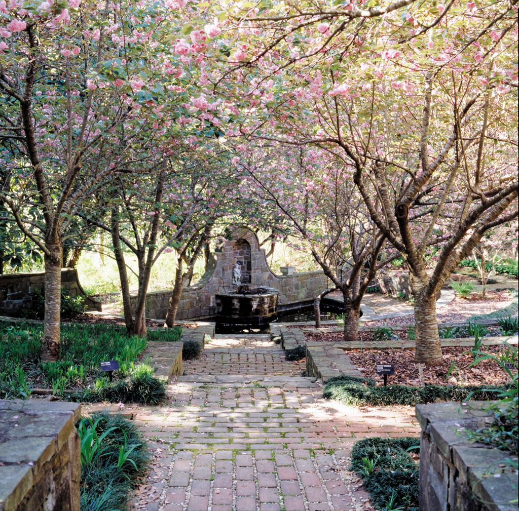 Martha berry garden