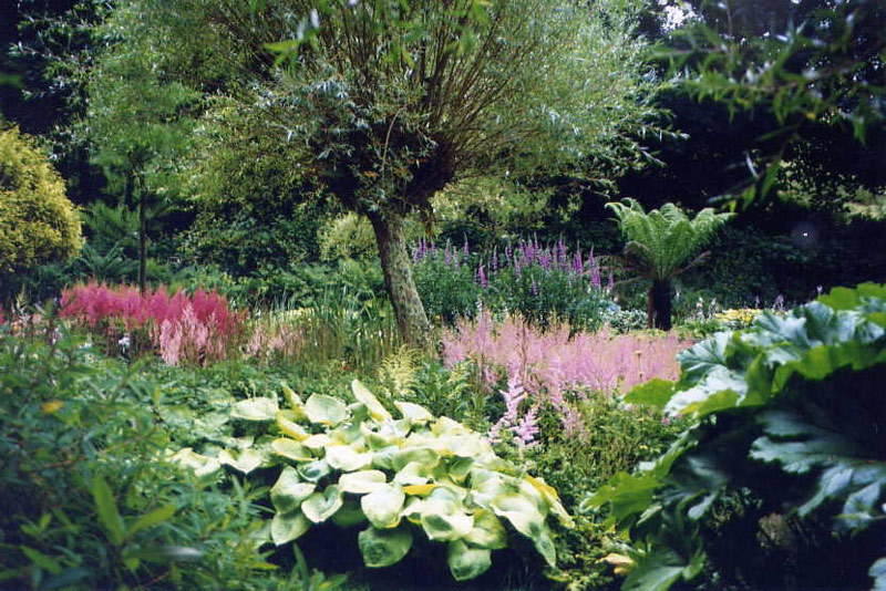 Marwood Hill Garden, Barnstaple