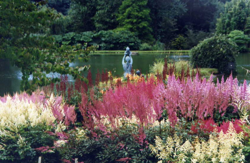 Marwood Hill Garden, Devon