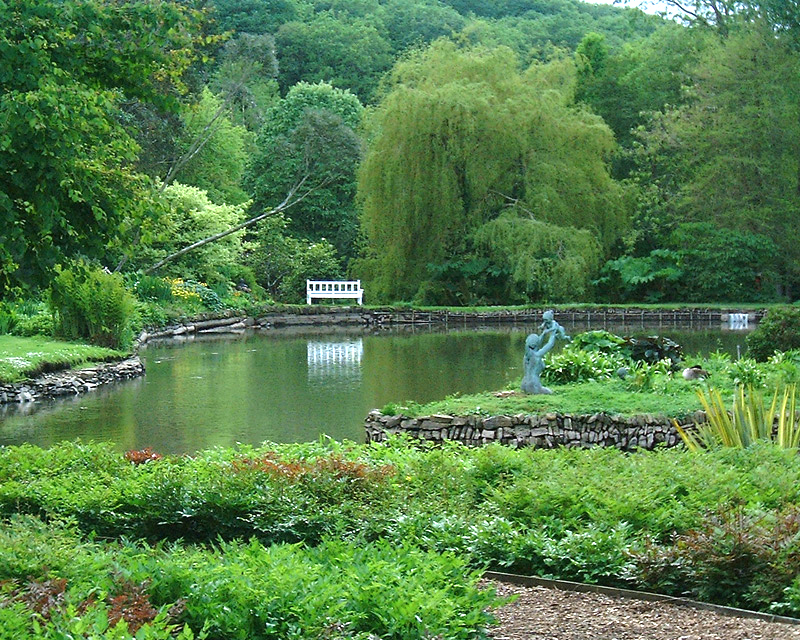 Marwood Hill Garden mubbble