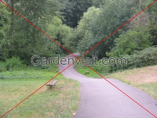 Maryon Wilson Park