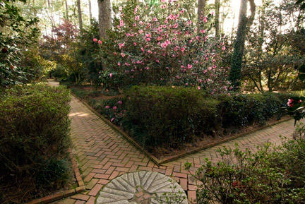 Massee Lane Gardens, Georgia