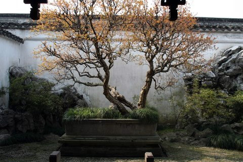 The Master-of_Fishing Net Garden, China
