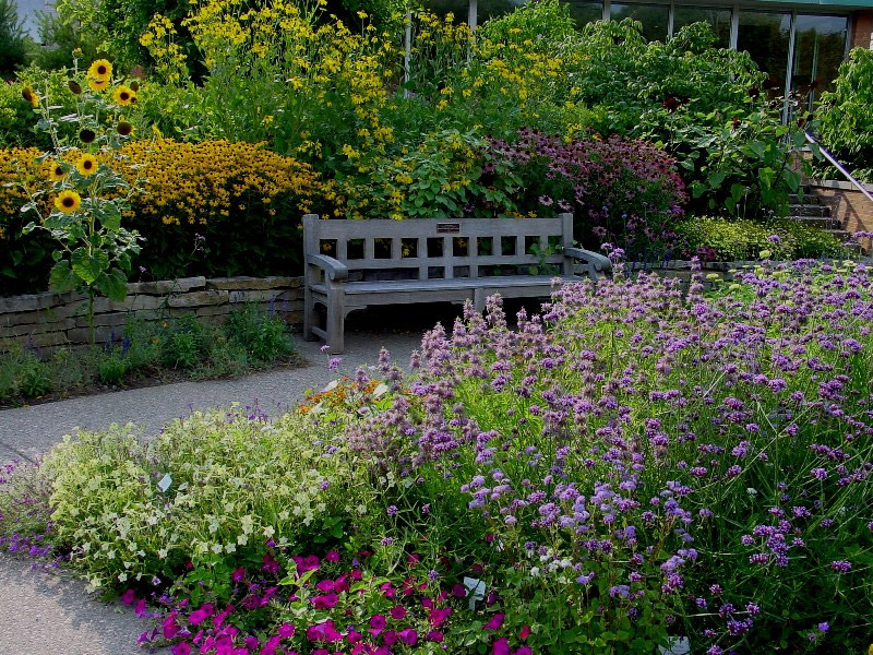 Matthaei Garden