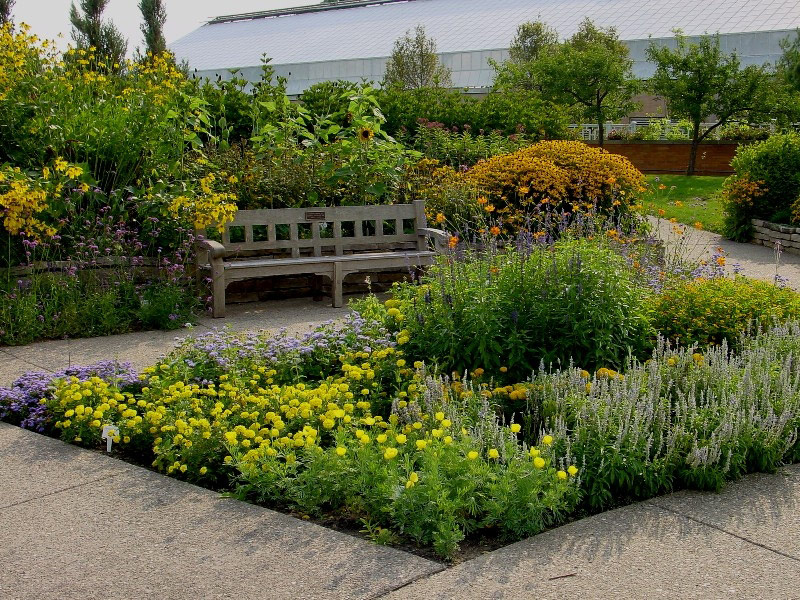 Bench, Matthaei Garden