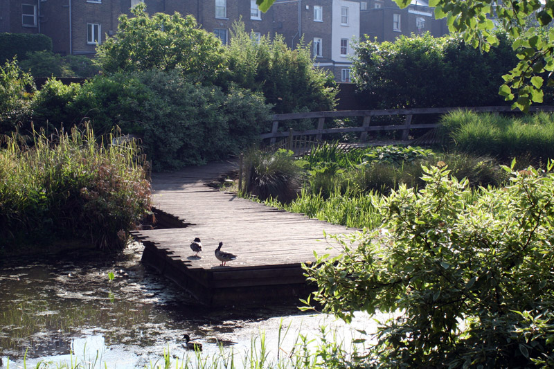 Wildlife Garden, Meanwhile Gardens