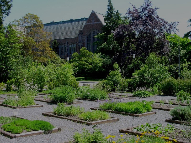 Medicinal Herb Garden, Seattle
