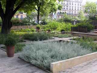Medieval museum garden