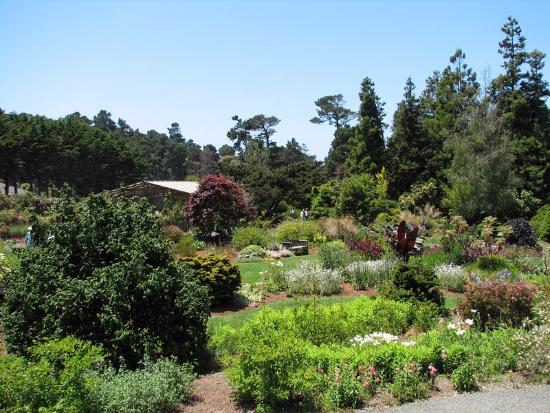 Mendocino Coast Botanical Garden, California