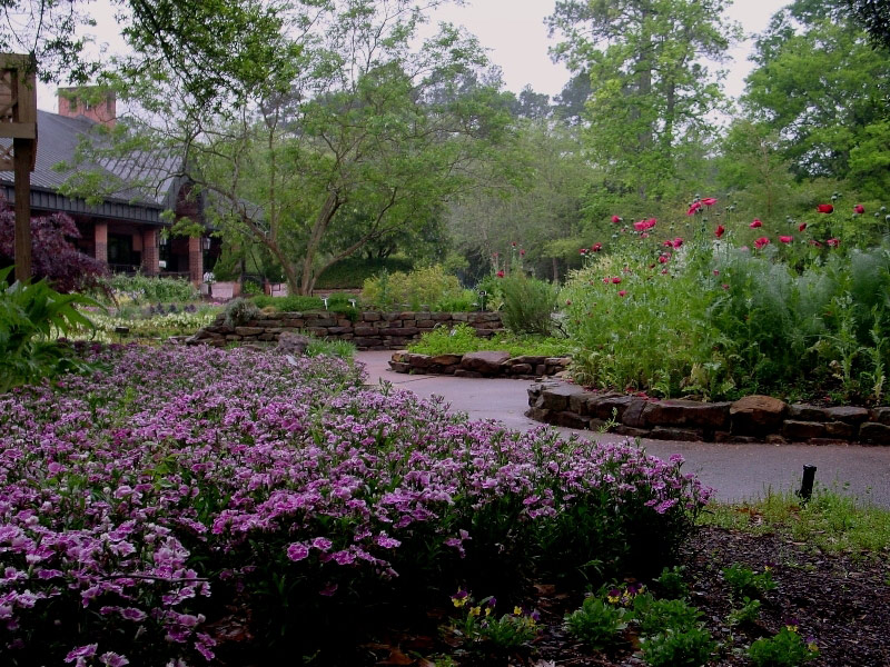 Mercer Arboretum, Texas