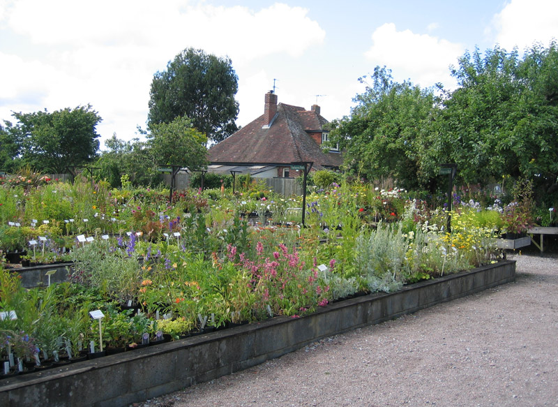 Plaxtol Nurseries