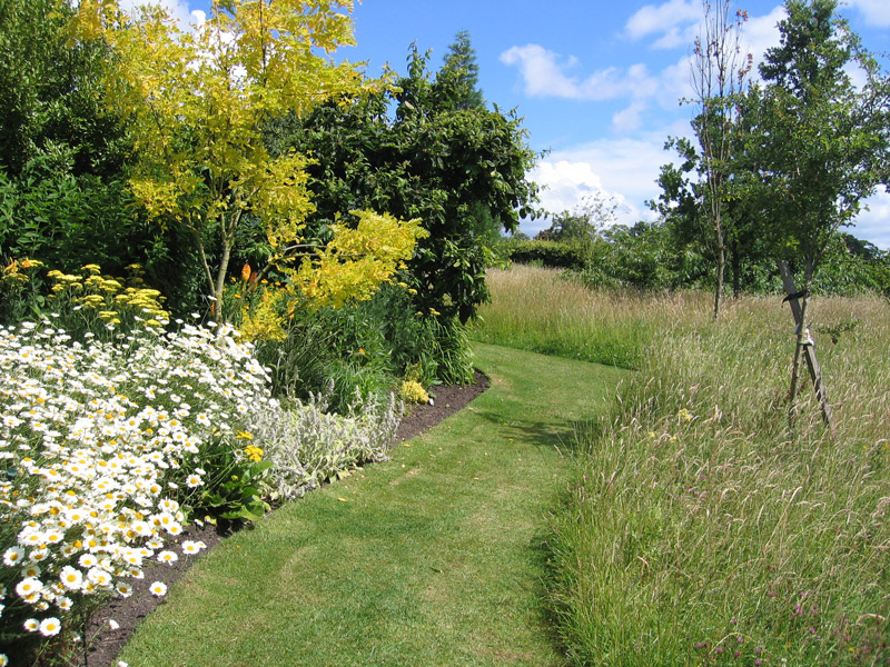 Long Grass, Merriments Gardens