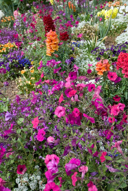 Mesa Temple Gardens, Arizona