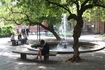 Middle Temple Garden