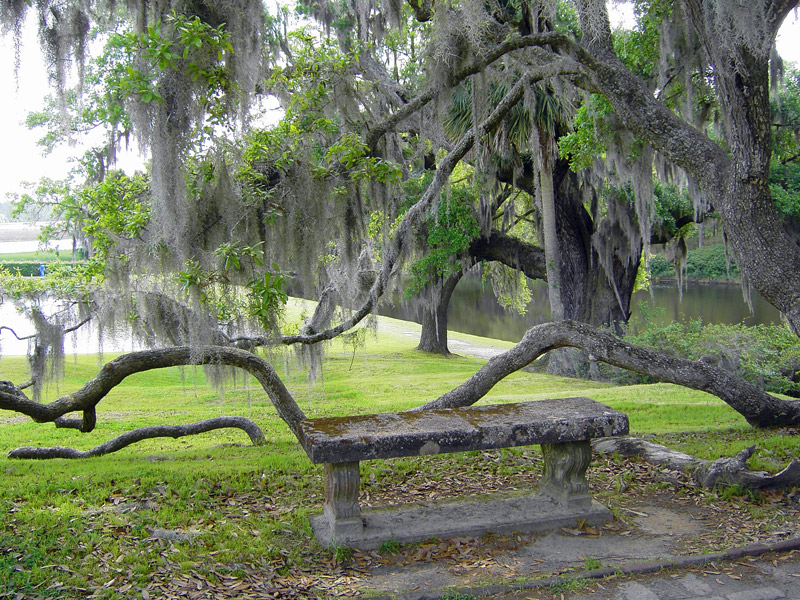 Middleton Place Gardens, South Carolina