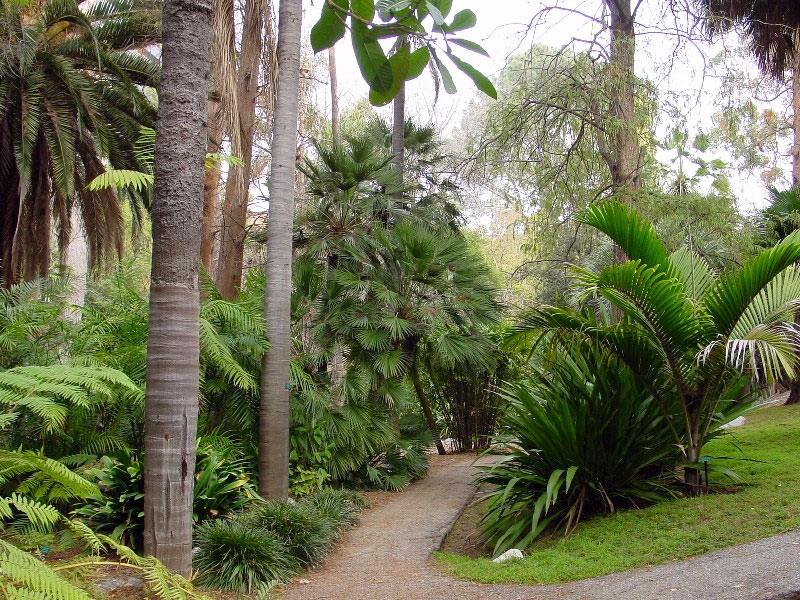 Mildred E Mathias Garden, California