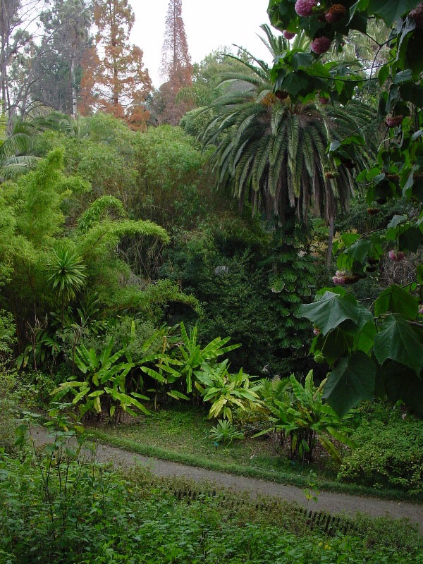 Mildred E Mathias Garden, Los Angeles