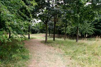 Mile End Park landscape