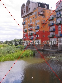 Millennium Village