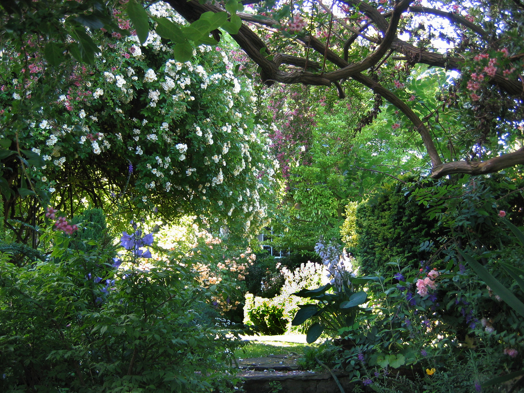 Millgate House Garden JR P