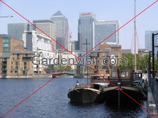 Millwall Dock