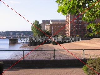 Blackwall Waterfront