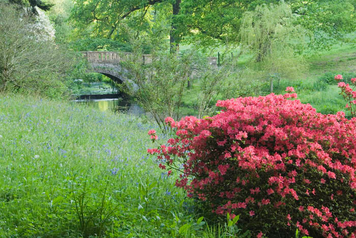 Minterne Gardens