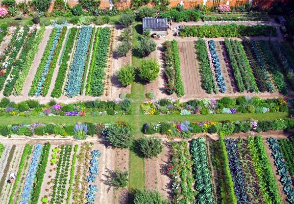 Potager, Chateau de Miromesnil