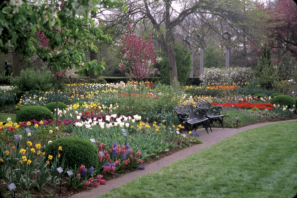 Samuels Bulb Garden, Missouri Botanical Garden